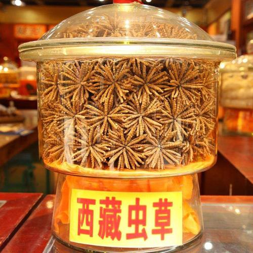 从化大量回收虫草价格-从化虫草回收多少钱一克