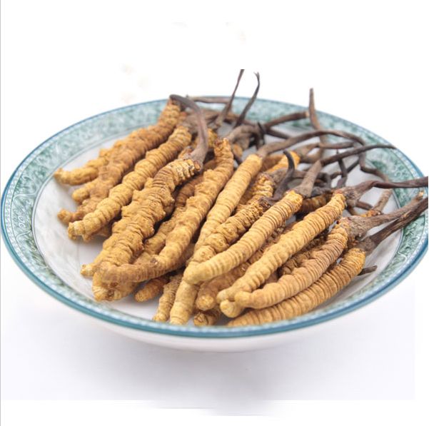 黄埔虫草回收单价