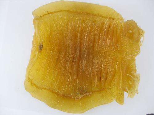 近期萝岗鱼胶回收行情